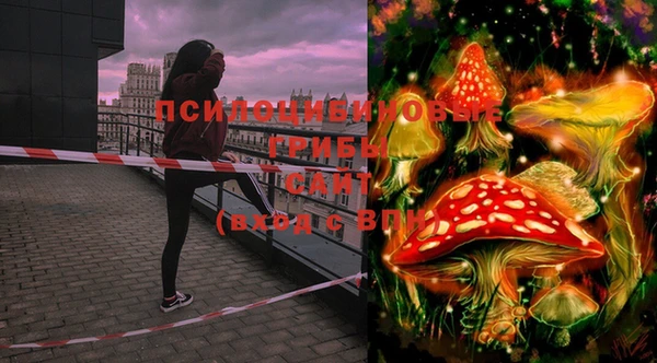 марки lsd Алапаевск